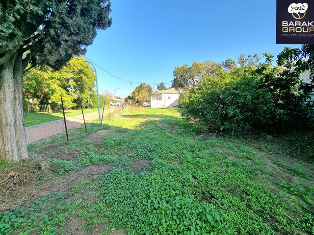 הרב מנחם זמבה 4