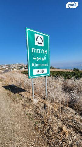 מגרשים