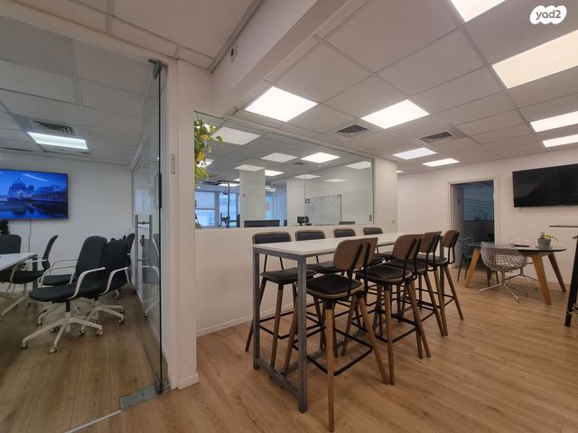 גני שרונה, קרית הממשלה