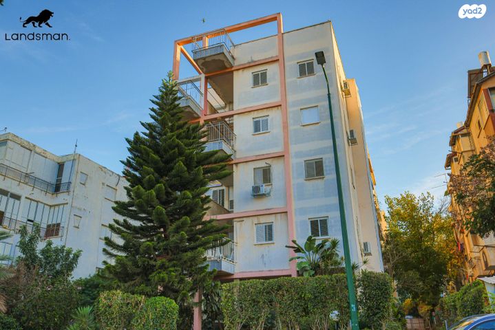 דוד וולפסון 34