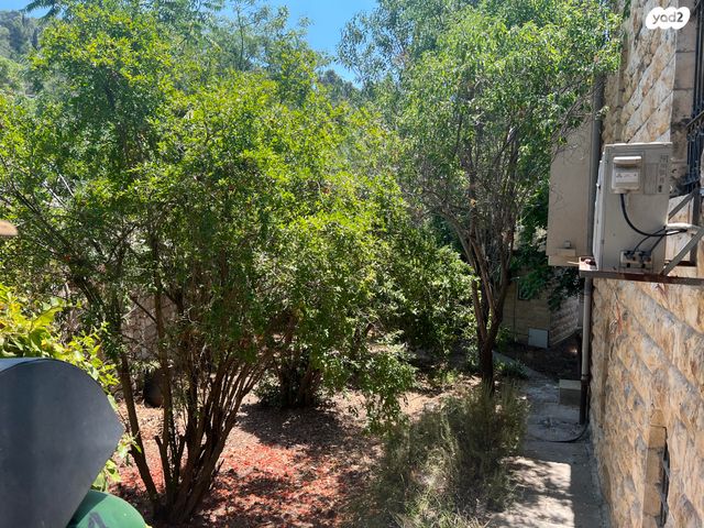 ארתור הנטקה 