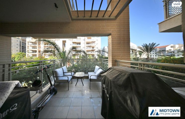 דירה, עיט, כפר סבא הצעירה, כפר סבא