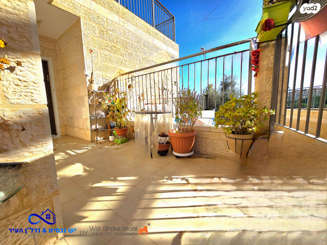 דירה, המרווה, צמח השדה, מעלה אדומים