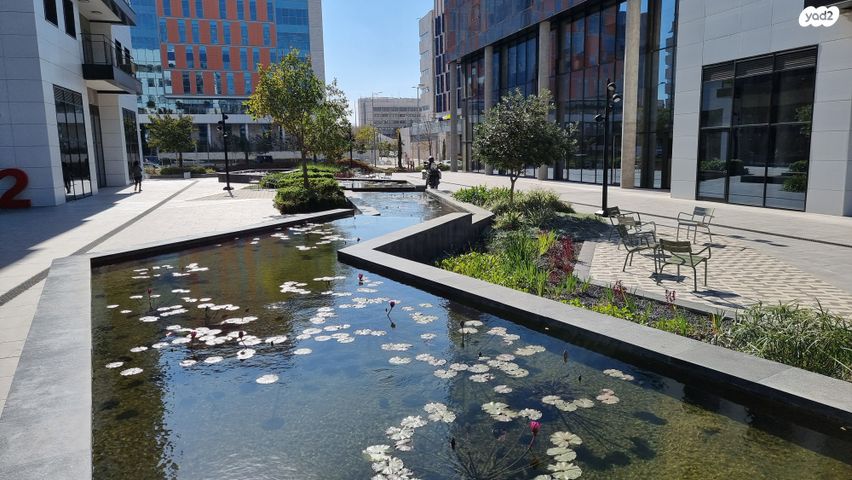 משרדים, אילן רמון, שאר העיר, נס ציונה