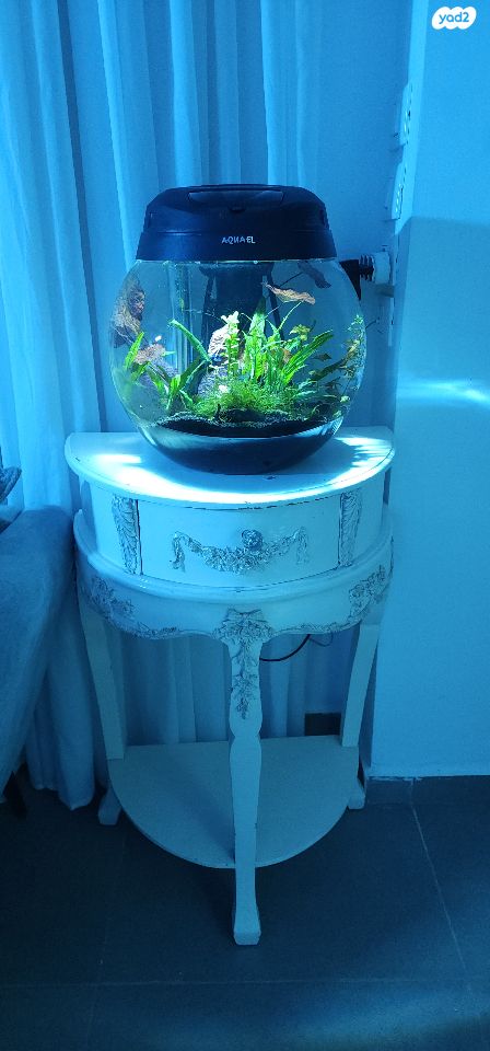 תמונת מודעה - חיות מחמד