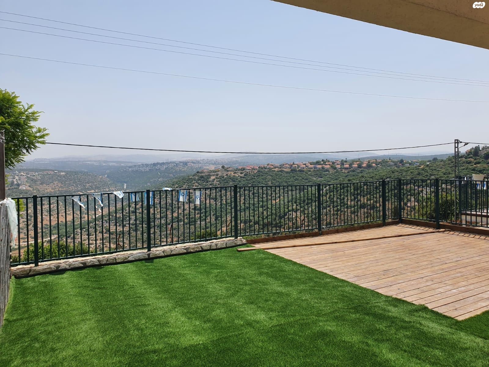 הברוש 81