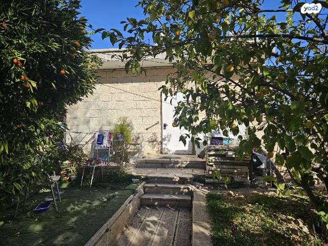 עקיבא אטינגר 