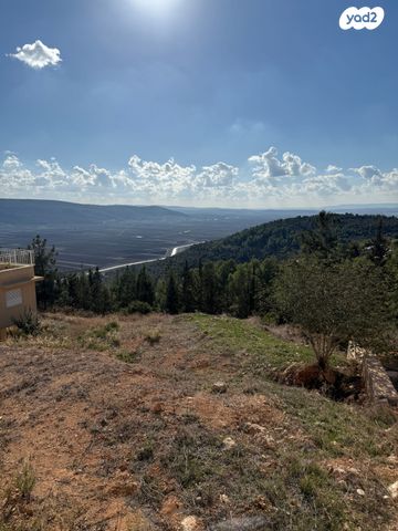 מגרשים