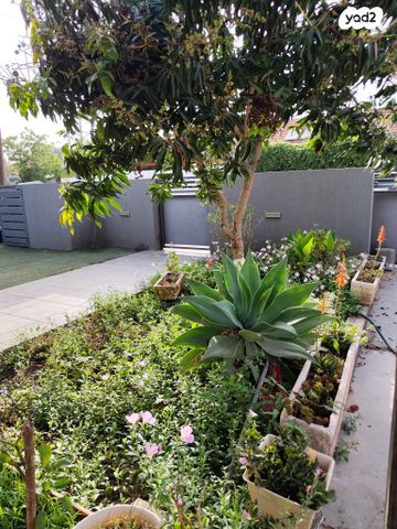 דו משפחתי, פרדס חנה כרכור