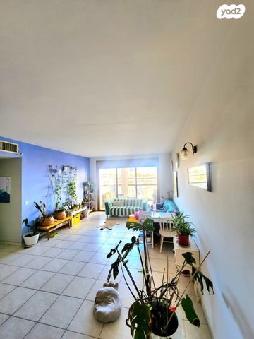 דירה, כרמל, אחוזת הנשיא, רחובות