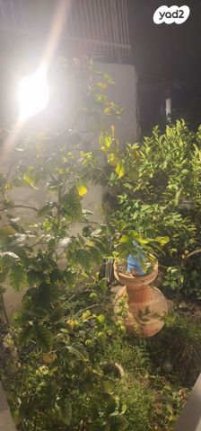 בית פרטי/ קוטג', שלדג, גבעת המורה, עפולה