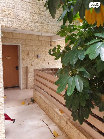 כיכר השונית 4