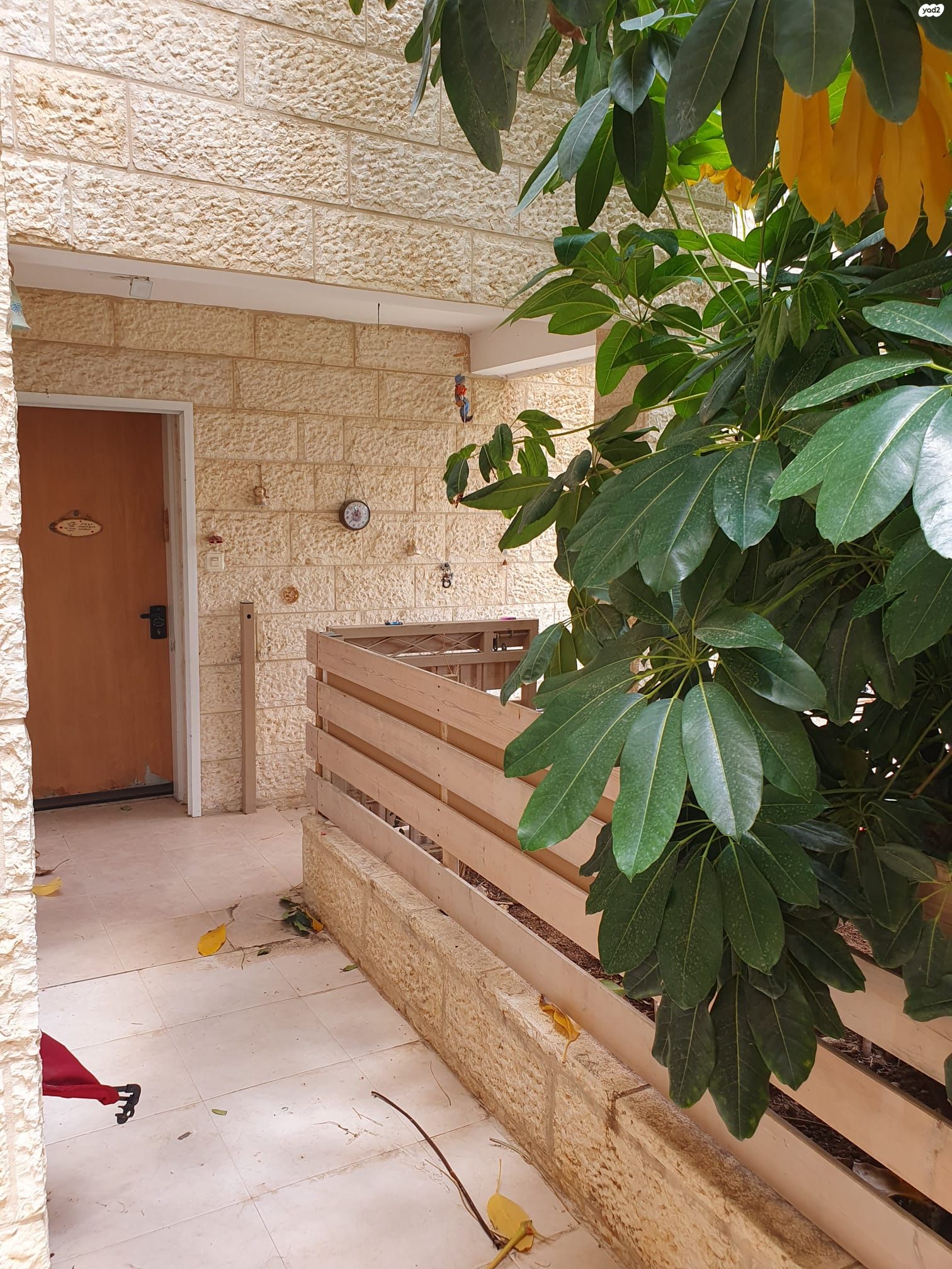 כיכר השונית 4