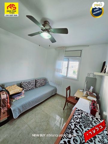 דירה, אשדוד