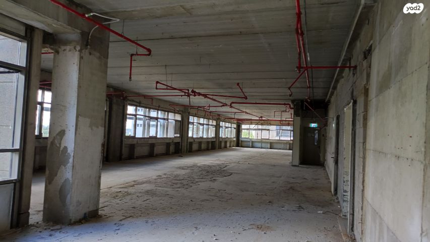 משרדים, ראול ולנברג, תל אביב יפו