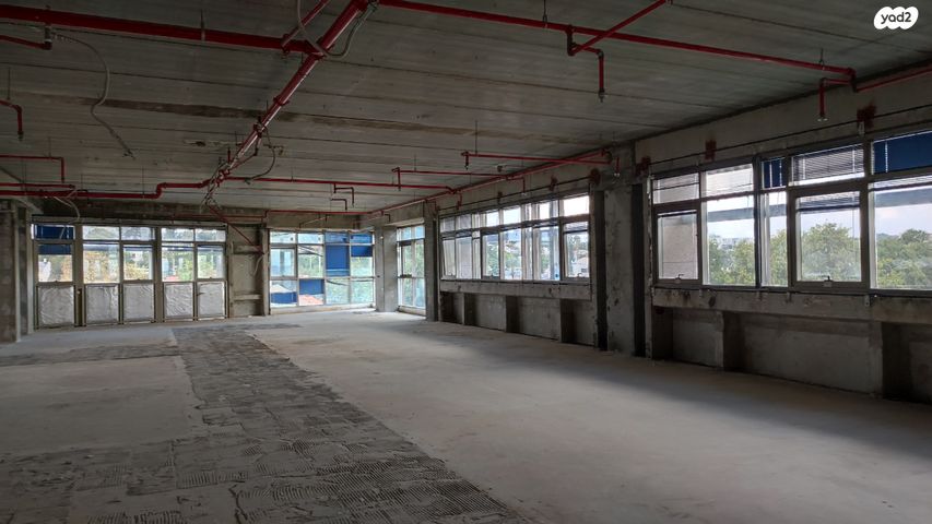 ראול ולנברג 