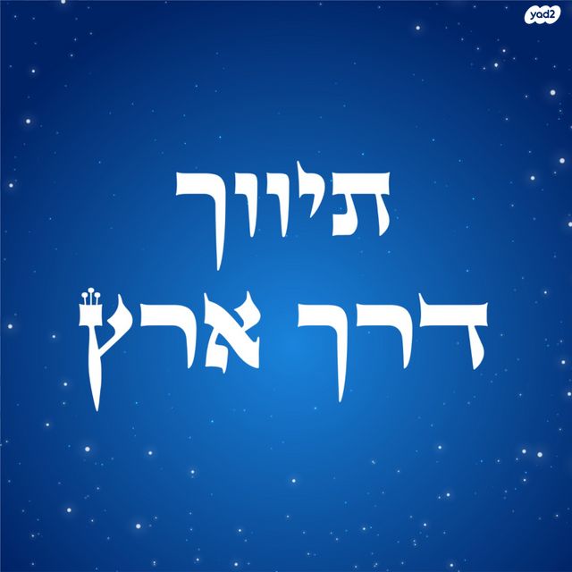 מגרשים