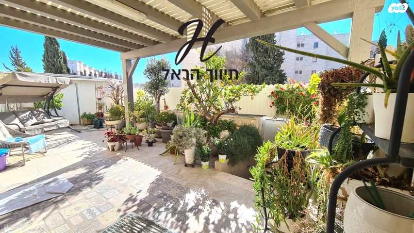 שבו 