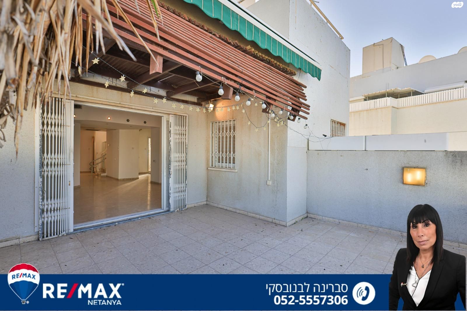 שלמה המלך 