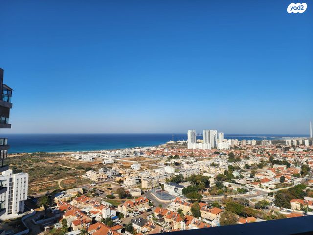 אדני פז 50