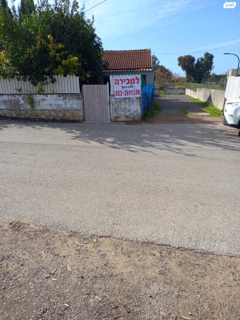 השושנים 26