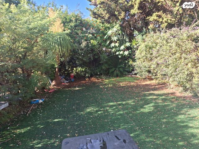 נחמן סירקין 