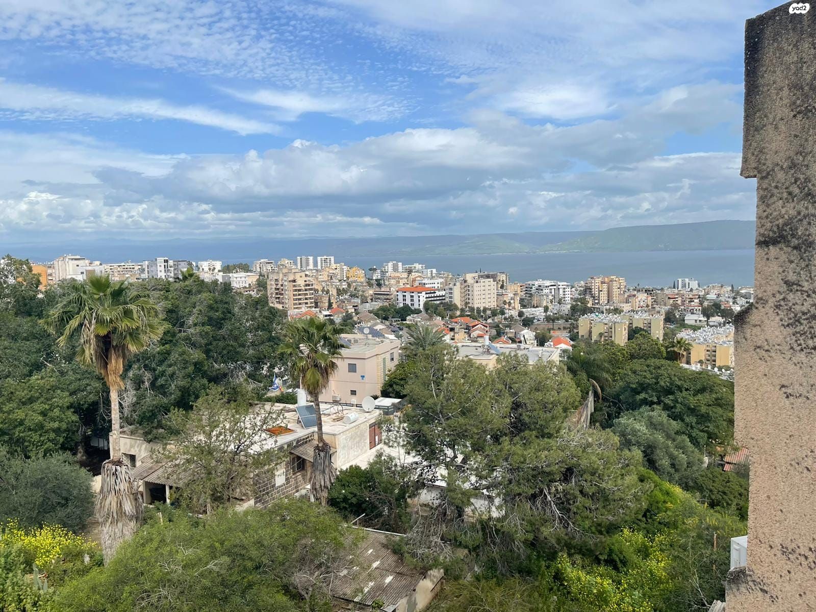 דירה
