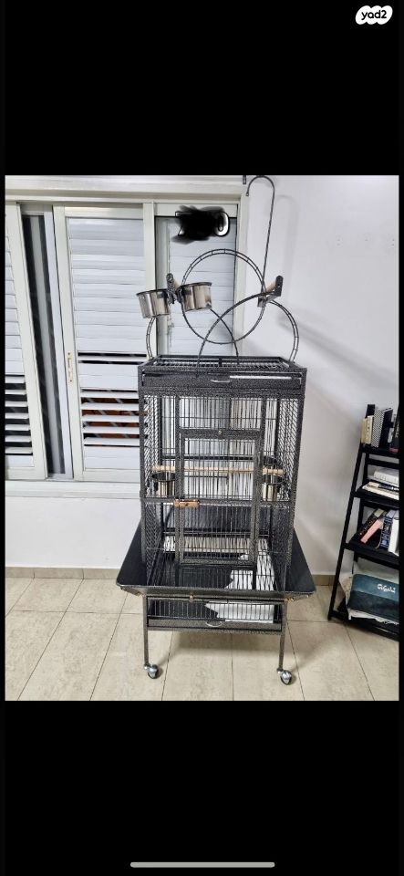 תמונת מודעה - חיות מחמד