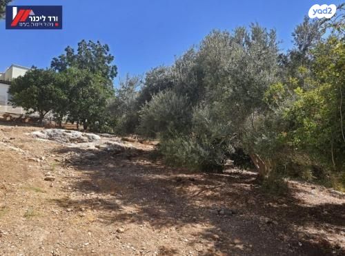 מגרשים, קרית עמל, קרית טבעון