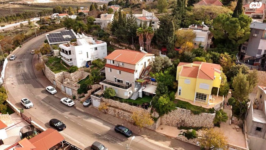 הדס 