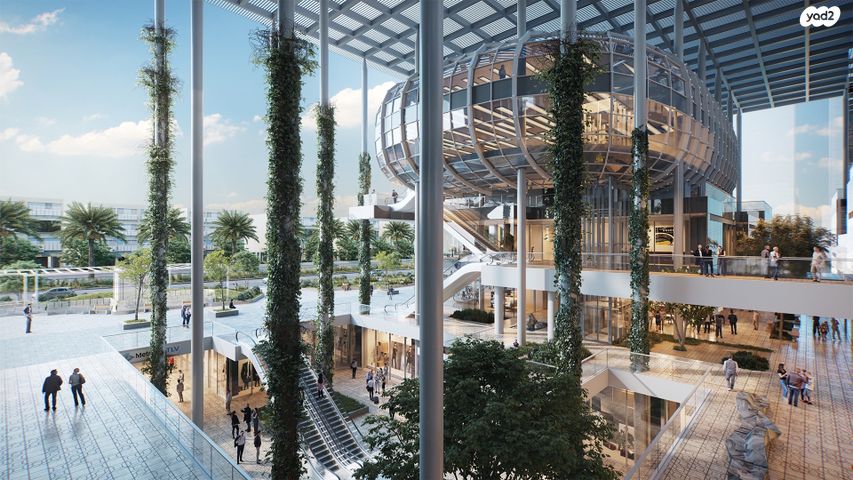 דירה, הצפון החדש - כיכר המדינה, תל אביב יפו