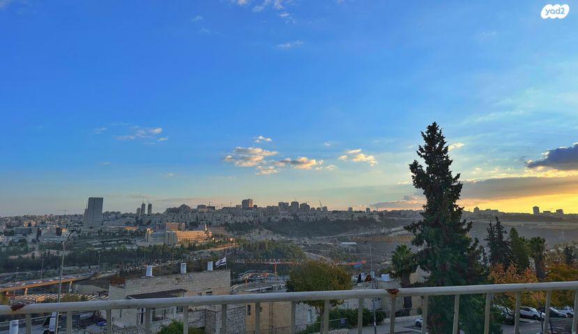 הנרי מורגנטאו 