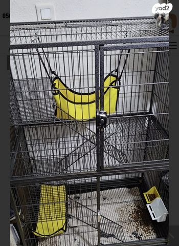 אביזרים | כלוב