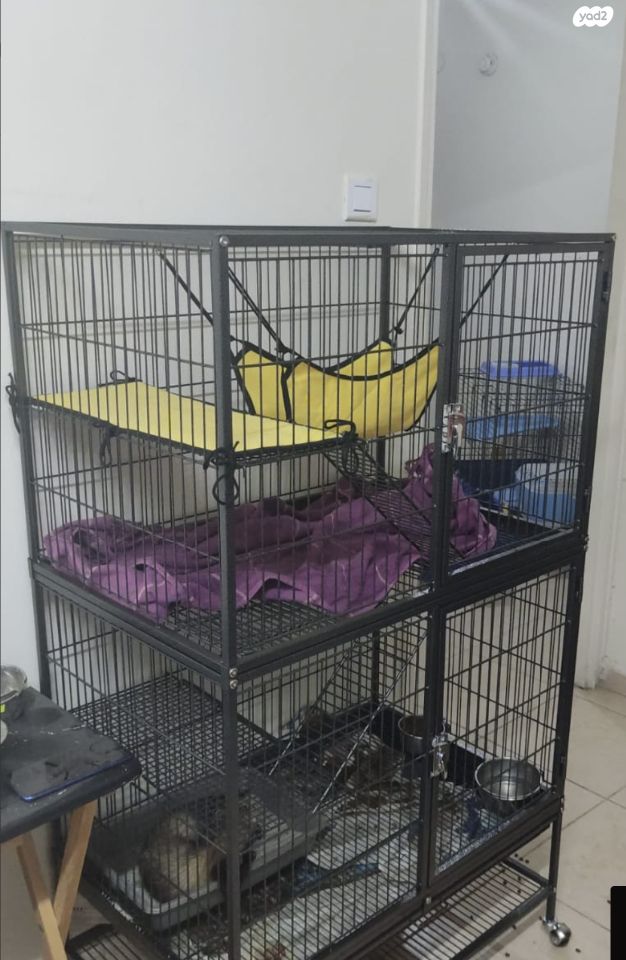 אביזרים | כלוב