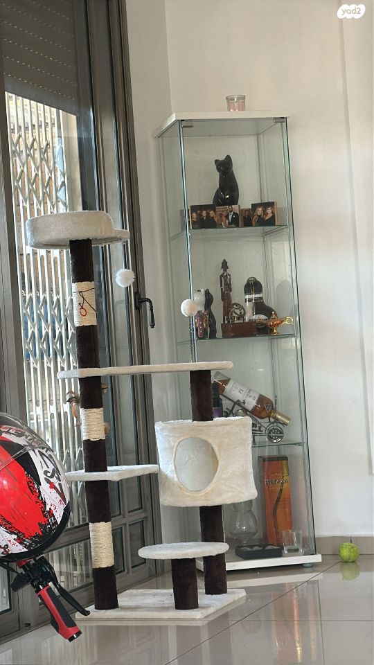 אביזרים | משחקים וצעצועים