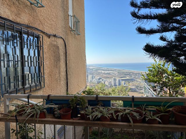 דירה, נעמי, כרמליה, חיפה