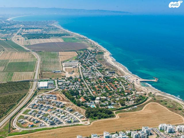 שבי ציון
