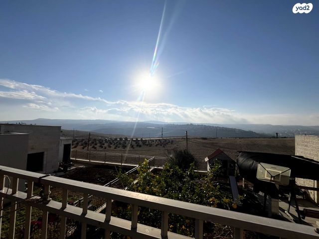 דו משפחתי, נוקדים