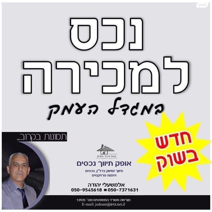 שושנת העמקים 