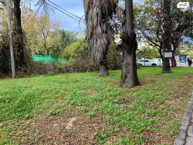 דירה, מרגולין, יד אליהו, תל אביב יפו