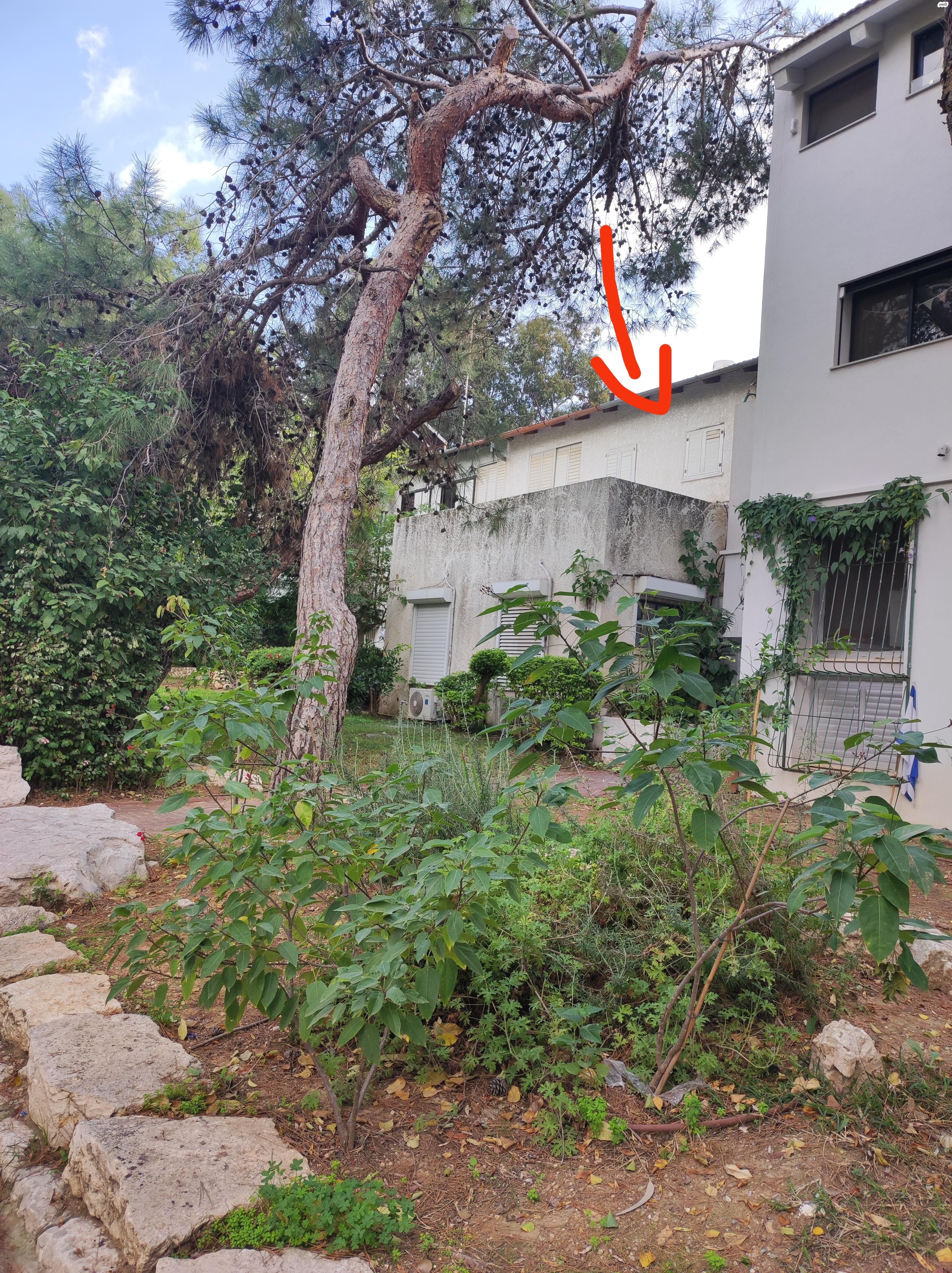 גרונימן 26