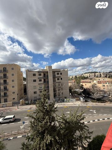 הארזים 