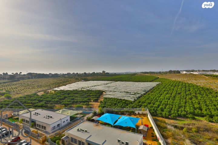 דירה, חנה רובינא, יפה נוף, כפר יונה