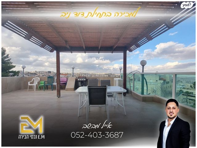 דוד ניב 