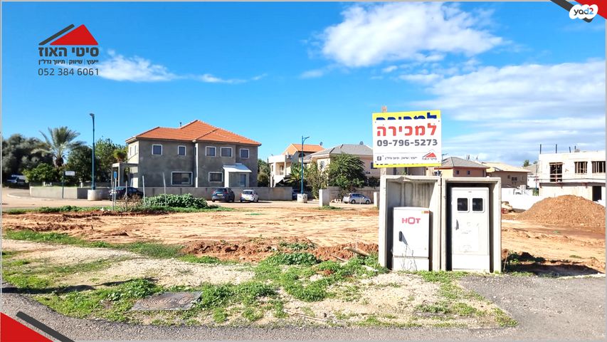 מגרשים