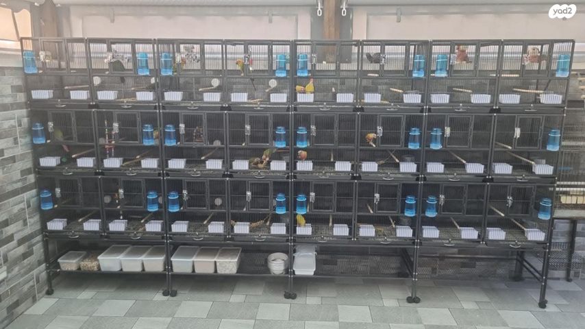 אביזרים | כלוב