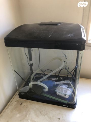 תמונת מודעה - חיות מחמד