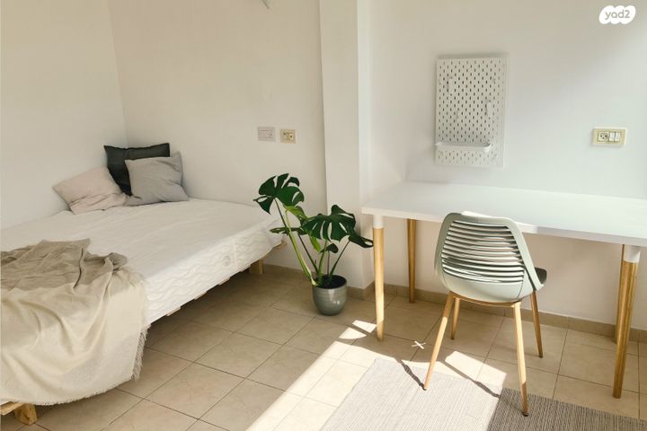 דירה, עמוס, בן דור, נשר