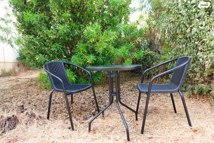 דירה, עמוס, בן דור, נשר