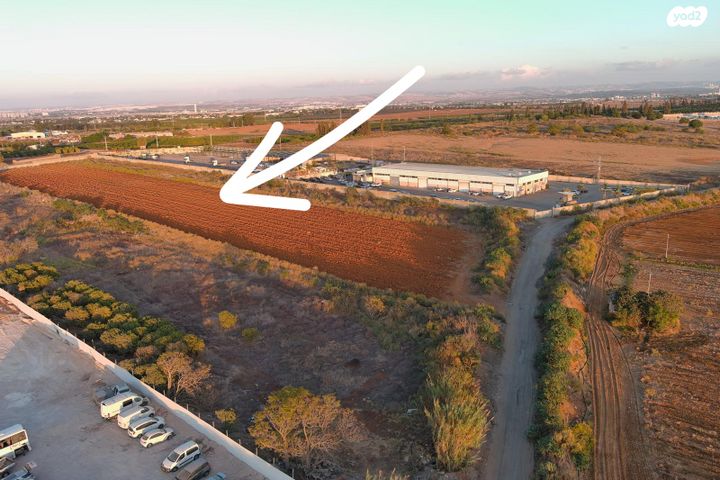 בנימין שמוטקין 